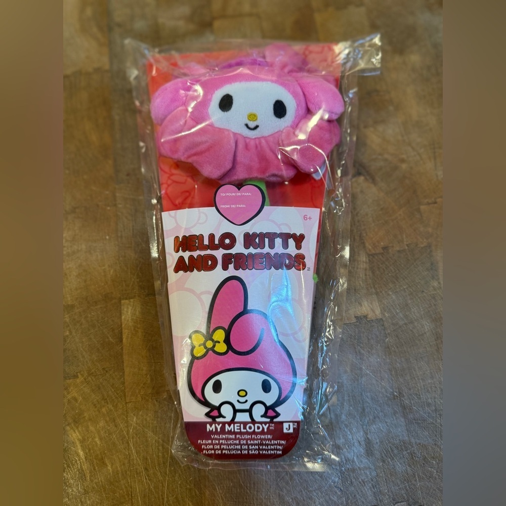 Hello Kitty and Friends Sanrio My Melody Pink Plush Flower Valentine’s Day New